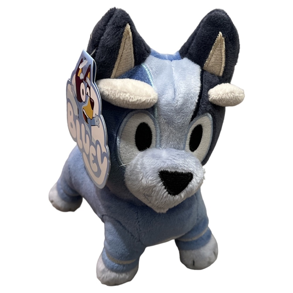 NWT🏷️ Bluey Friends- Socks Plush
